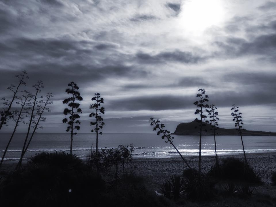 Playa San José