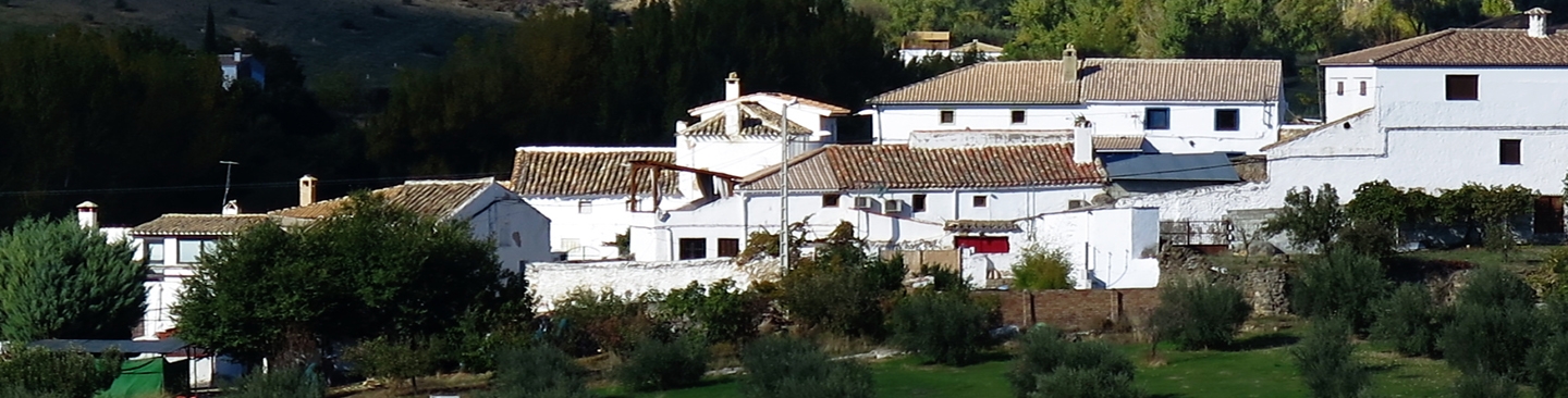 El Asno Azul