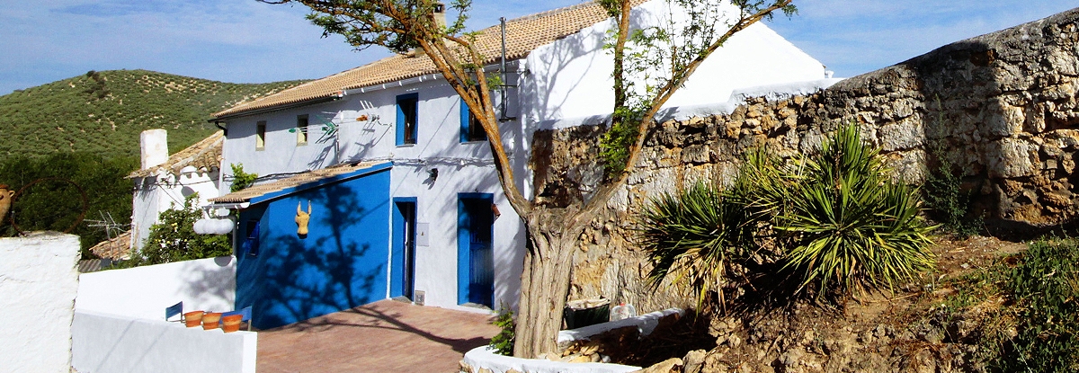 El Asno Azul