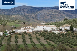Vista general de 'Casas nuevas' de Ribera baja